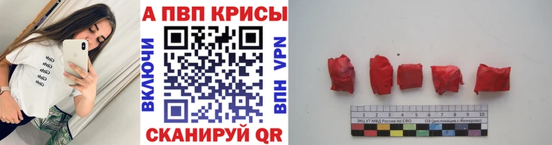 Alfa_PVP СК КРИС Коряжма