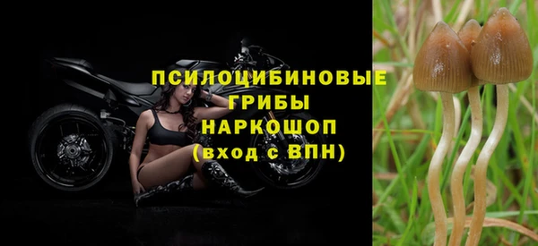 МДМА Белокуриха